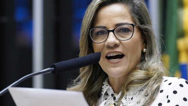 Mara Rocha apresenta PL para suspender protestos extrajudiciais durante a pandemia do coronavírus