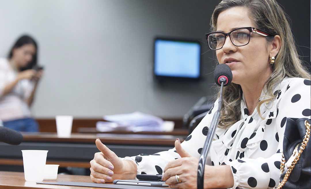 Mara Rocha pede a supressão de artigo do Plano Mansueto, que proíbe reajuste e progressão de carreira de militares e servidores