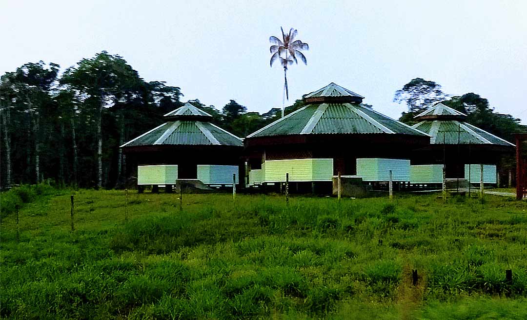 Localizada às margens de rodovia, território dos Katukina é o mais exposto ao coronavírus