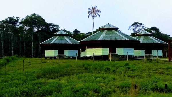 Localizada às margens de rodovia, território dos Katukina é o mais exposto ao coronavírus