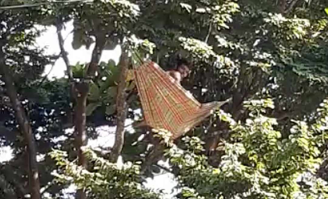 Homem arma e deita em rede no alto de uma árvore em Rio Branco
