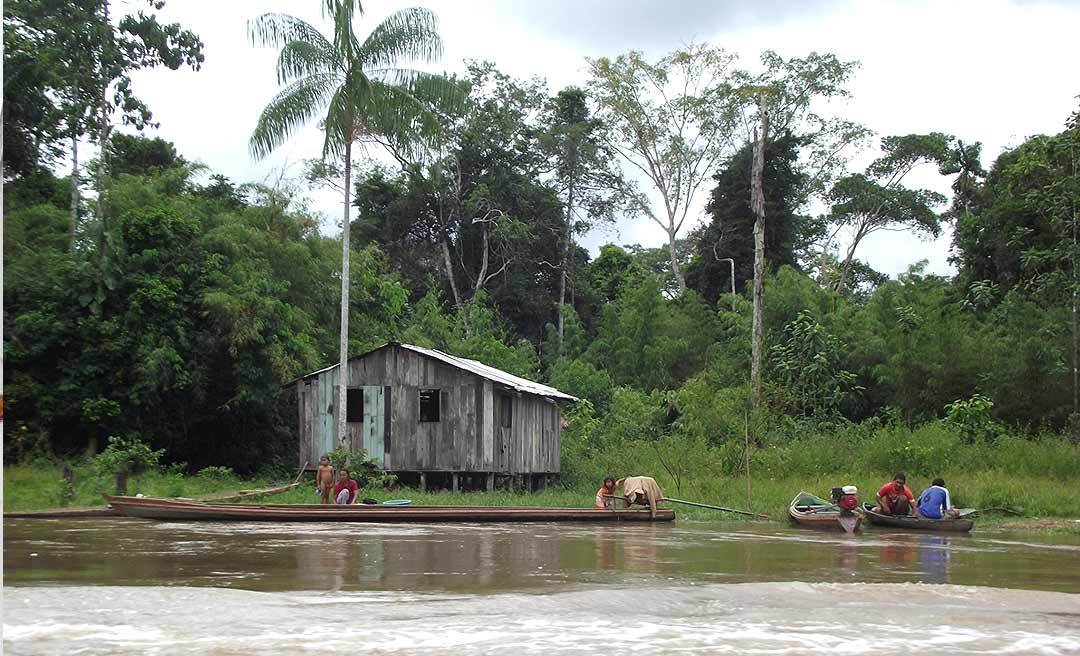 Famílias de Resex na Amazônia relatam ameaça do coronavírus e abandono pelo Estado