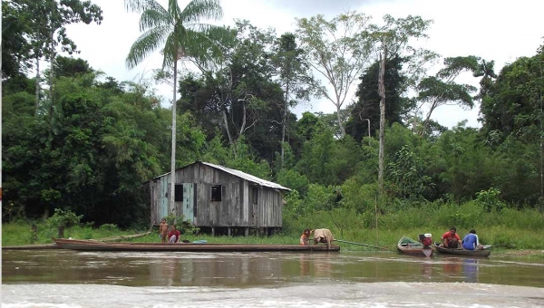 Famílias de Resex na Amazônia relatam ameaça do coronavírus e abandono pelo Estado