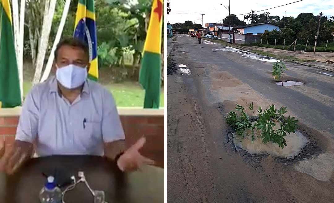 Isaac Lima chama população de desocupada e manda plantar; em resposta buracos das ruas amanhecem cheios de mudas