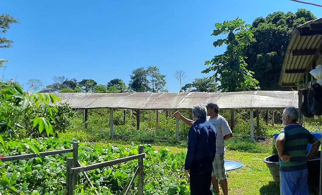 Prefeitura vai investir R$ 1 milhão na produção de farinha de mandioca e derivados