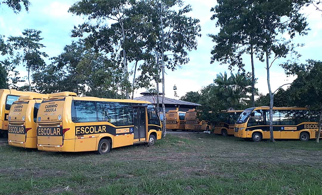 Estado adquire novos ônibus escolares com acessibilidade para pessoas com deficiência