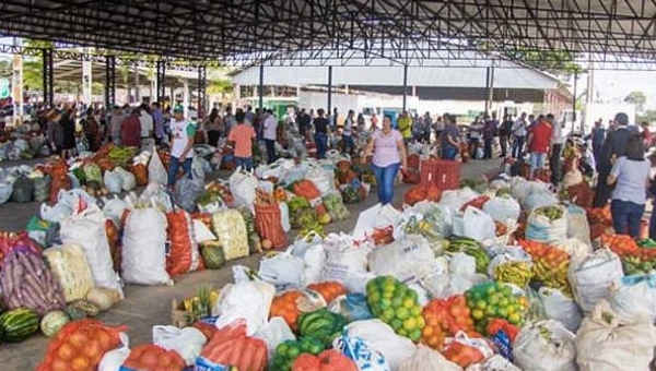 Mais de 13 mil alunos da rede estadual serão beneficiados com kits da agricultura familiar