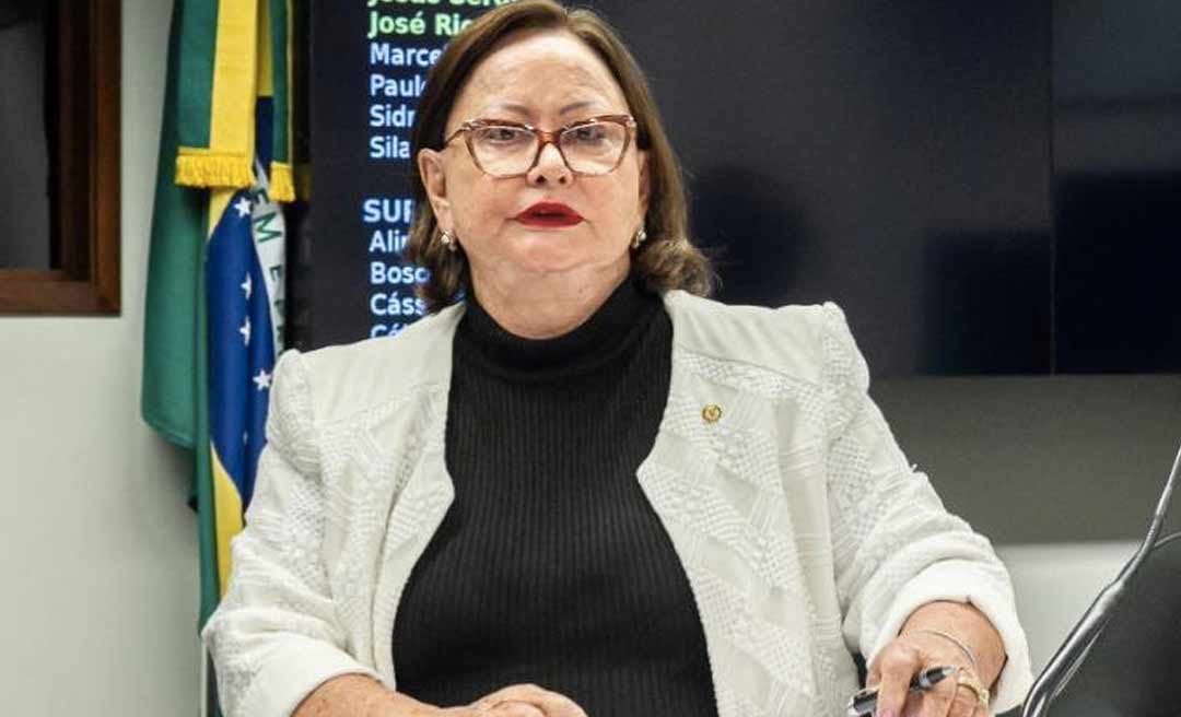 Vanda Milani afirma que MP 927/20 ajuda a manter empregos de milhares de brasileiros