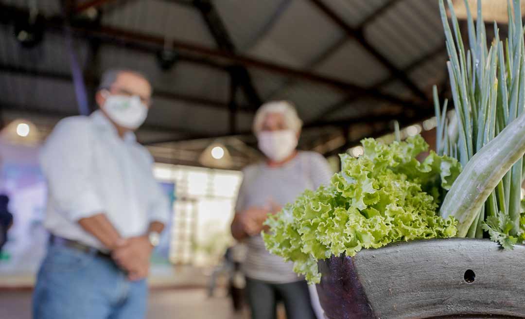 Feira virtual dá visibilidade a produtos de baixa emissão de carbono