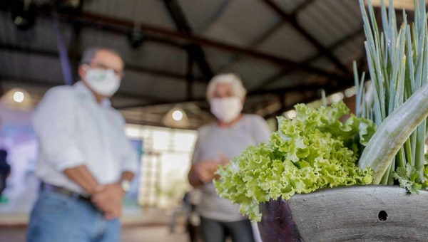 Feira virtual dá visibilidade a produtos de baixa emissão de carbono