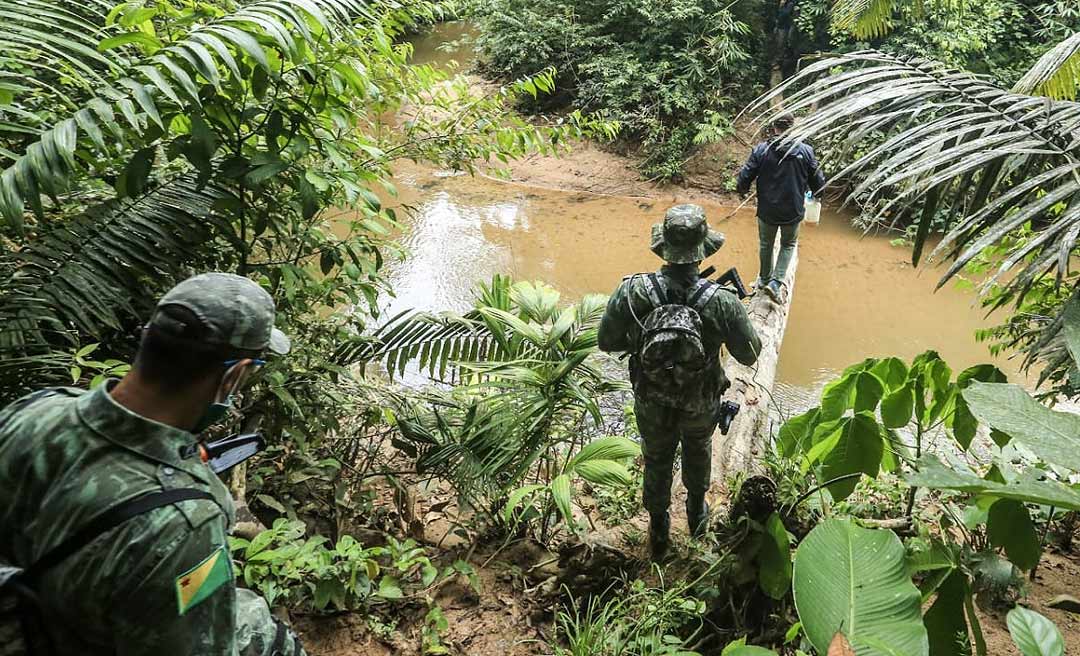 Órgãos ambientais notificam 81 ocupantes irregulares em florestas e valor total de multas ultrapassa R$ 500 mil