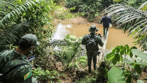 Órgãos ambientais notificam 81 ocupantes irregulares em florestas e valor total de multas ultrapassa R$ 500 mil