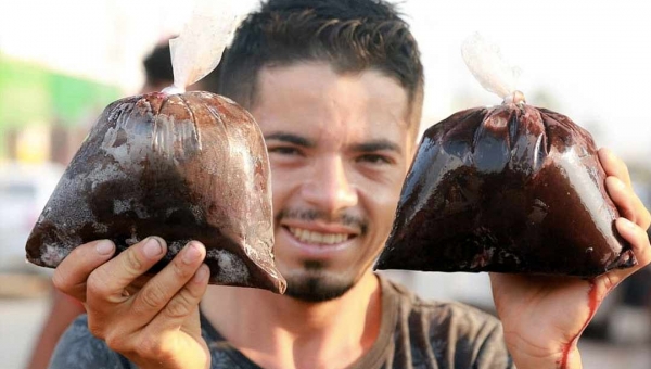 Festival do Açaí do município de Feijó poderá ser cancelado em virtude da pandemia