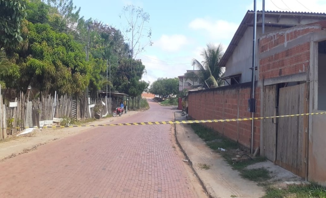 Abelhas atacam pessoas e animais em rua no Rui Lino, e bombeiros isolam acesso