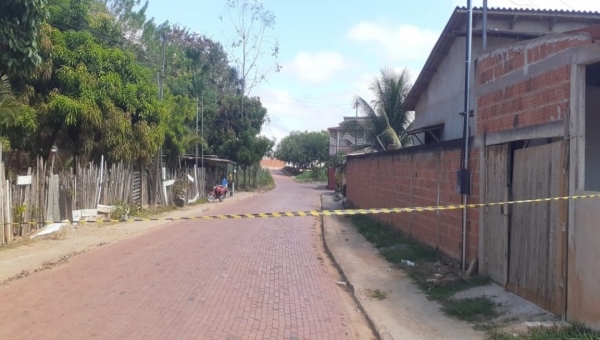 Abelhas atacam pessoas e animais em rua no Rui Lino, e bombeiros isolam acesso