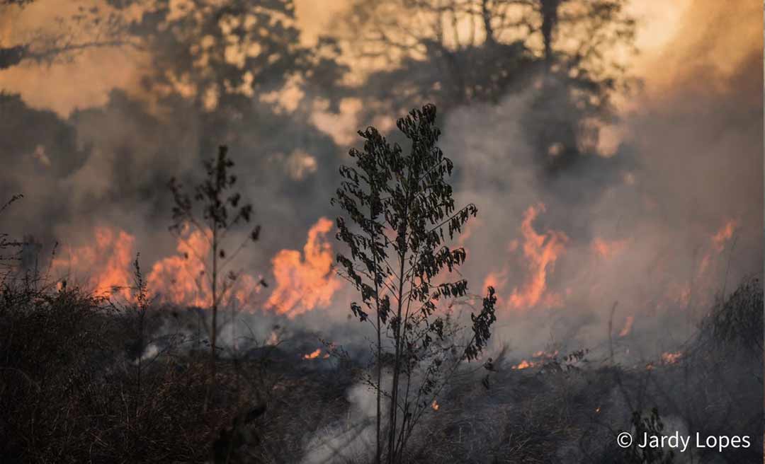 Rio Branco arde em chamas em meio à pandemia do novo coronavírus