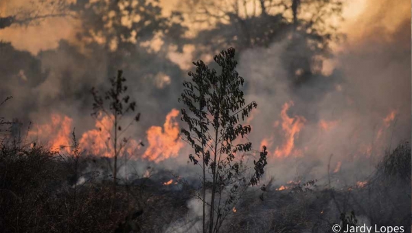 Rio Branco arde em chamas em meio à pandemia do novo coronavírus