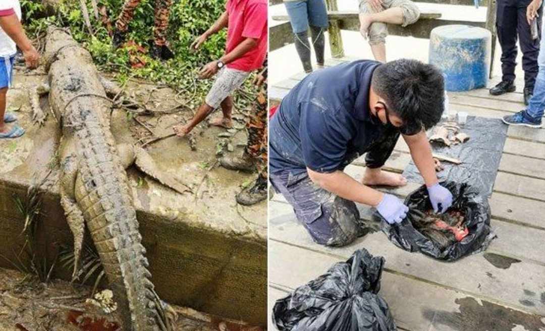 Restos mortais de adolescente são achados dentro de crocodilo de 4,3 metros