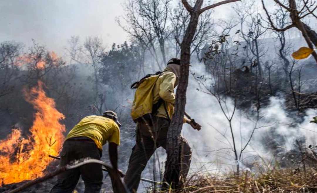 Cinco terras indígenas do Acre estão ameaçadas pelo fogo, diz Inpe