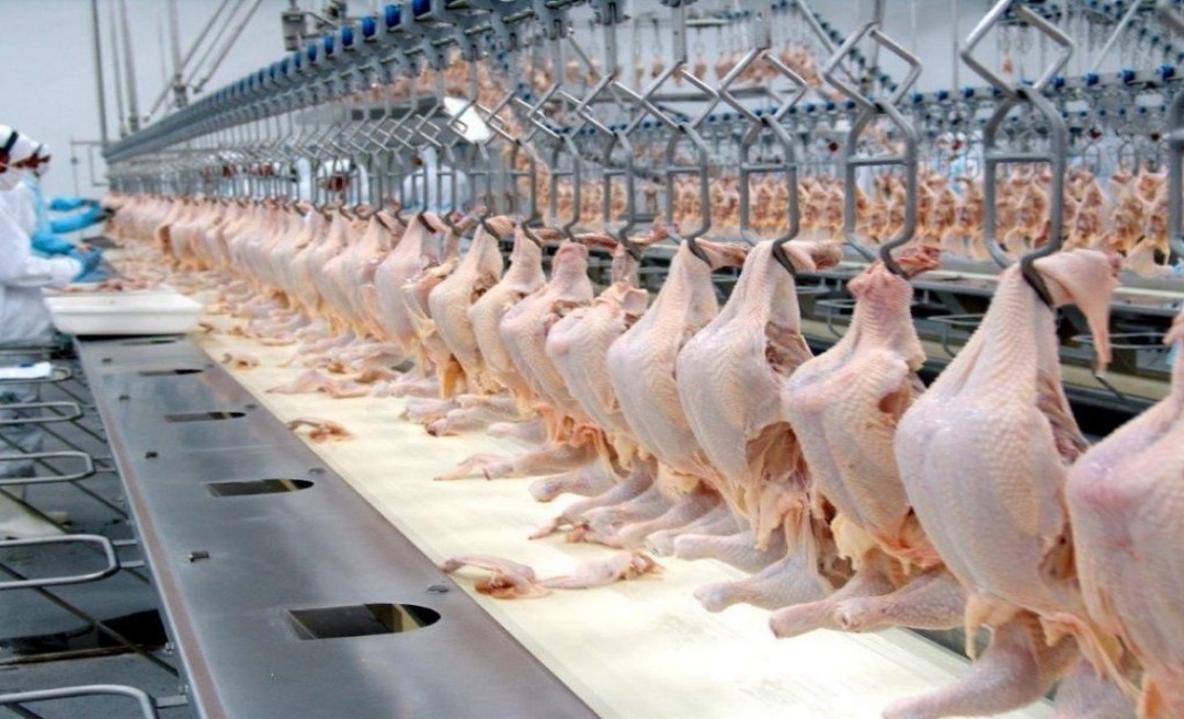 Redução do ICMS do frango vai diminuir preço do produto no Acre, diz Acisa