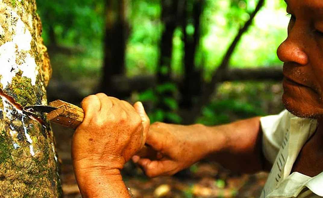 Após entendimento construído na Aleac, PGE concede parecer favorável ao pagamento de subsídio da borracha