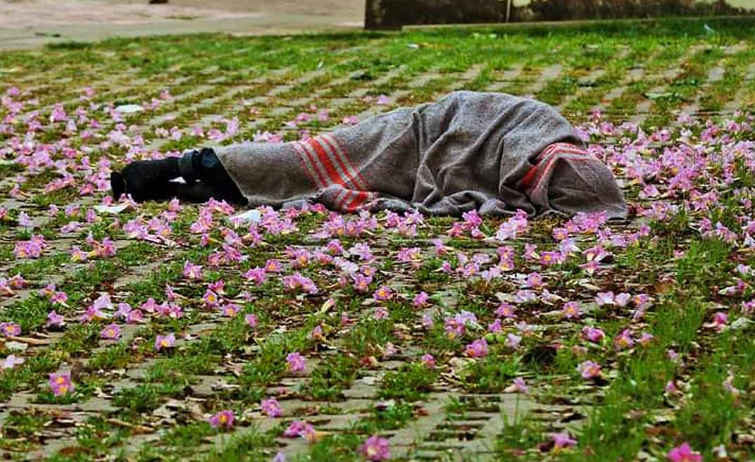 Imagem do dia: Homem dorme sob Ipê em calçada no frio em Rio Branco