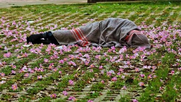 Imagem do dia: Homem dorme sob Ipê em calçada no frio em Rio Branco