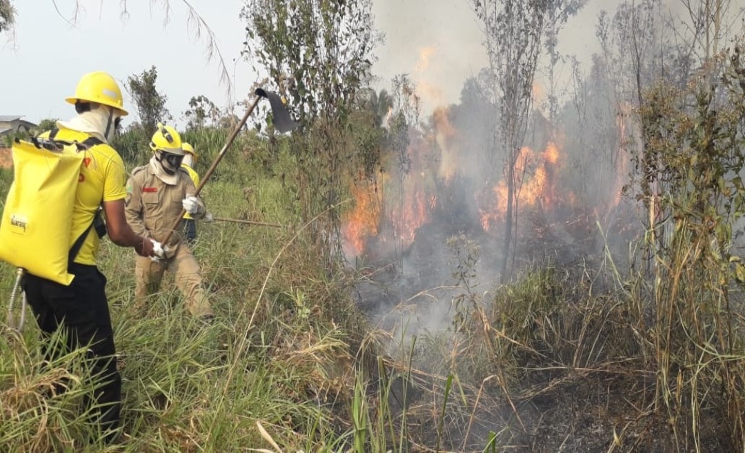 Bombeiros de Tarauacá agem rápidos e evitam tragédia no polo moveleiro