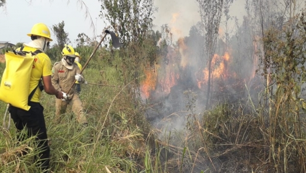 Bombeiros de Tarauacá agem rápidos e evitam tragédia no polo moveleiro