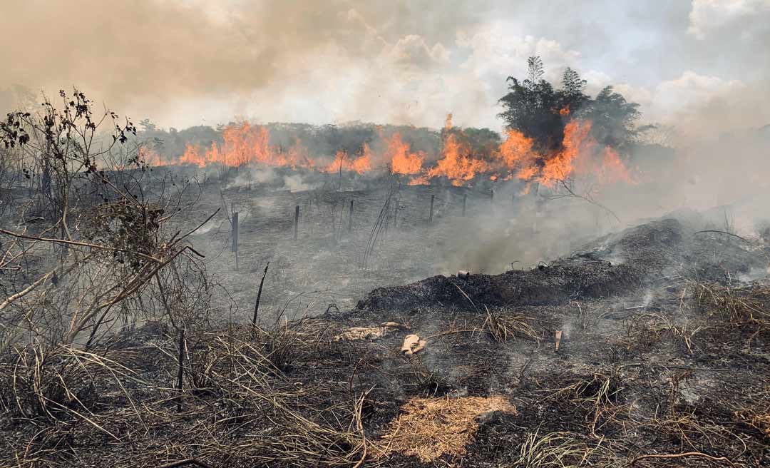 Acre foi o terceiro estado que mais queimou na Amazônia em agosto