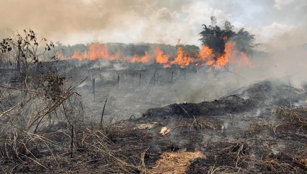 Acre foi o terceiro estado que mais queimou na Amazônia em agosto