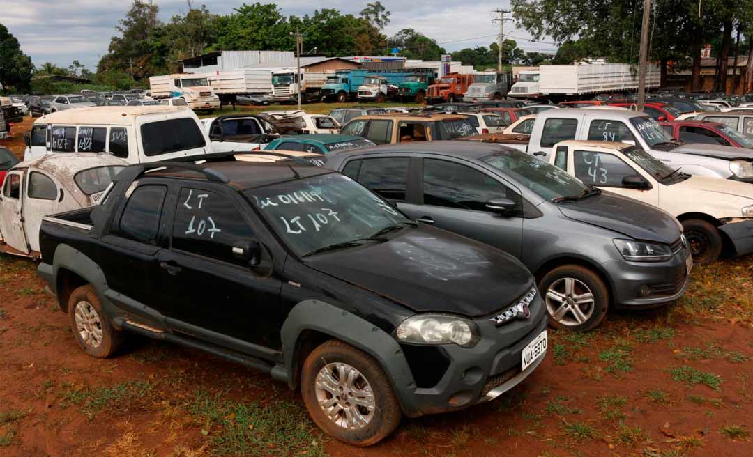 Leilão do Programa Acre pela vida arrecada mais de R$ 450 mil