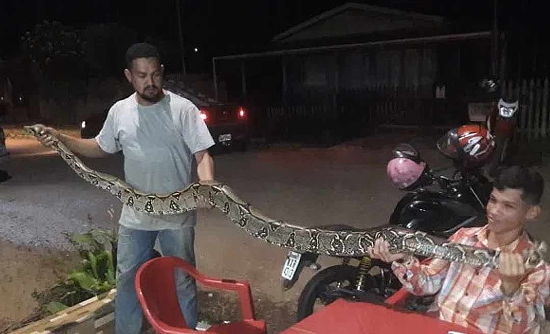 Motorista vê jiboia de 4 metros na BR-317, captura serpente e leva para os bombeiros