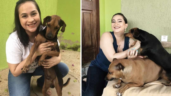 Vanessa Facundes vai disputar uma vaga na Câmara e levanta a bandeira de defesa dos animais e das minorias