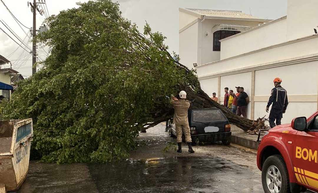 Ventania derruba árvores sobre carro e padaria em Rio Branco nesta terça