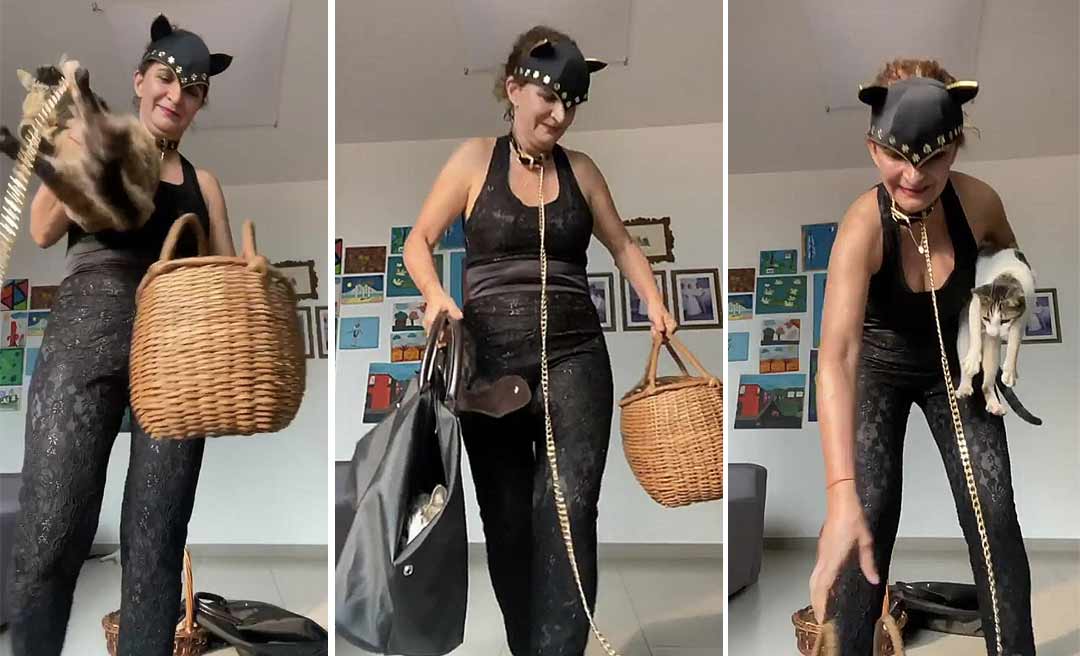 Vestida de Mulher Gato, Marlúcia Cândida reaparece em vídeo com "balaio de gatos"; seria uma indireta para os políticos locais?
