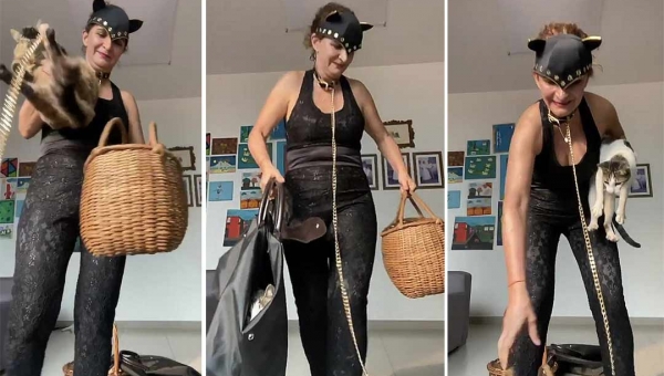 Vestida de Mulher Gato, Marlúcia Cândida reaparece em vídeo com "balaio de gatos"; seria uma indireta para os políticos locais?