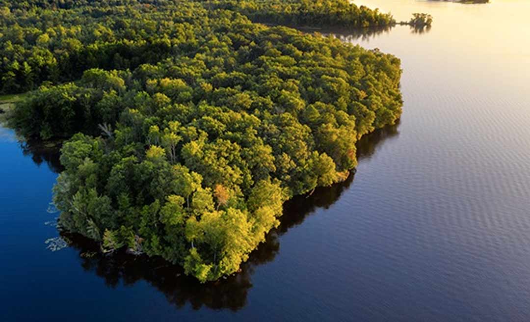 Em evento mundial, brasileira apresenta estudo sobre situação dos territórios tradicionais diante da Covid-19