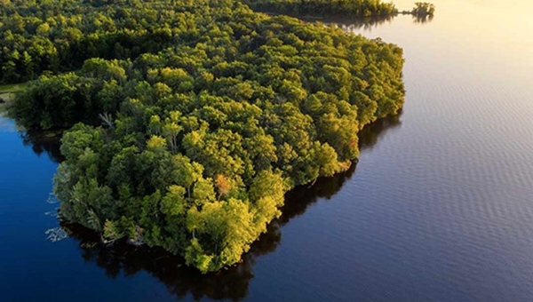 Em evento mundial, brasileira apresenta estudo sobre situação dos territórios tradicionais diante da Covid-19