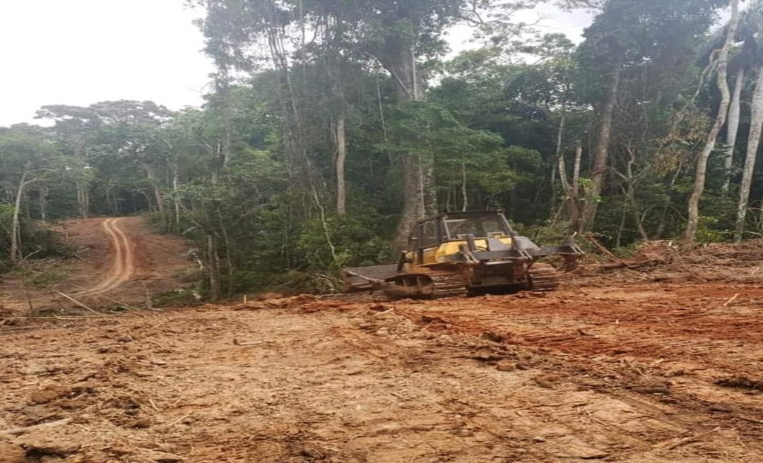 Gladson divulga imagens de estrada em construção entre Feijó e Envira