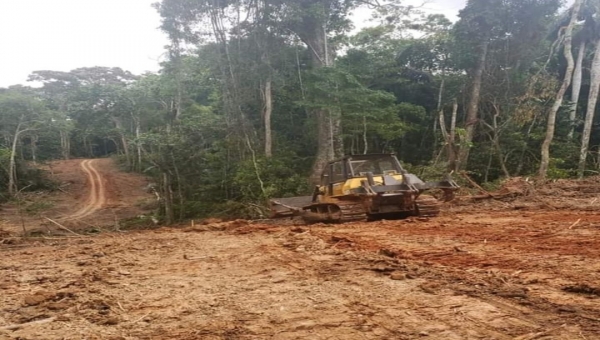 Gladson divulga imagens de estrada em construção entre Feijó e Envira