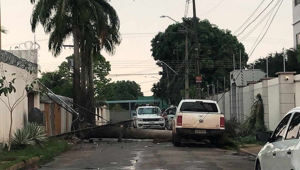 Vendaval derruba árvores e gera apagão em vários bairros de Rio Branco