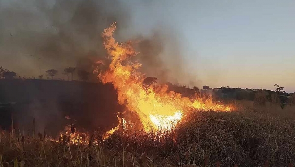 Fazendeiro deve ser indenizado pelo vizinho por ter sua propriedade invadida por fogo