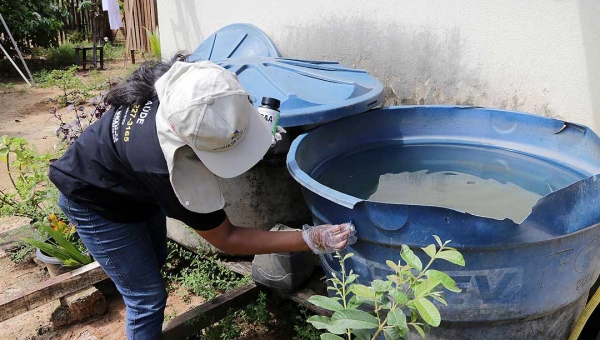 Casos de dengue aumentam 124% este ano em Cruzeiro do Sul