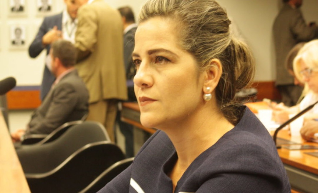 Mara Rocha apresenta requerimento para instalação da CPI da ANEEL