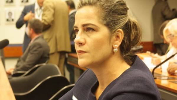 Mara Rocha apresenta requerimento para instalação da CPI da ANEEL