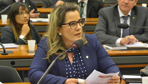 PL proibindo divulgação de pesquisa às vésperas de eleição é apresentado por Girão, no Senado, e por Mara, na Câmara