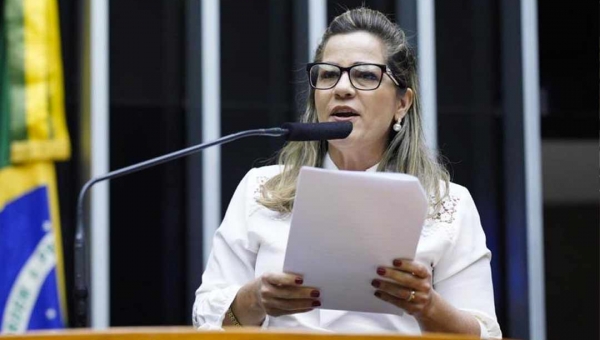 Mara Rocha faz pronunciamento protestando contra aumento na tarifa de energia elétrica