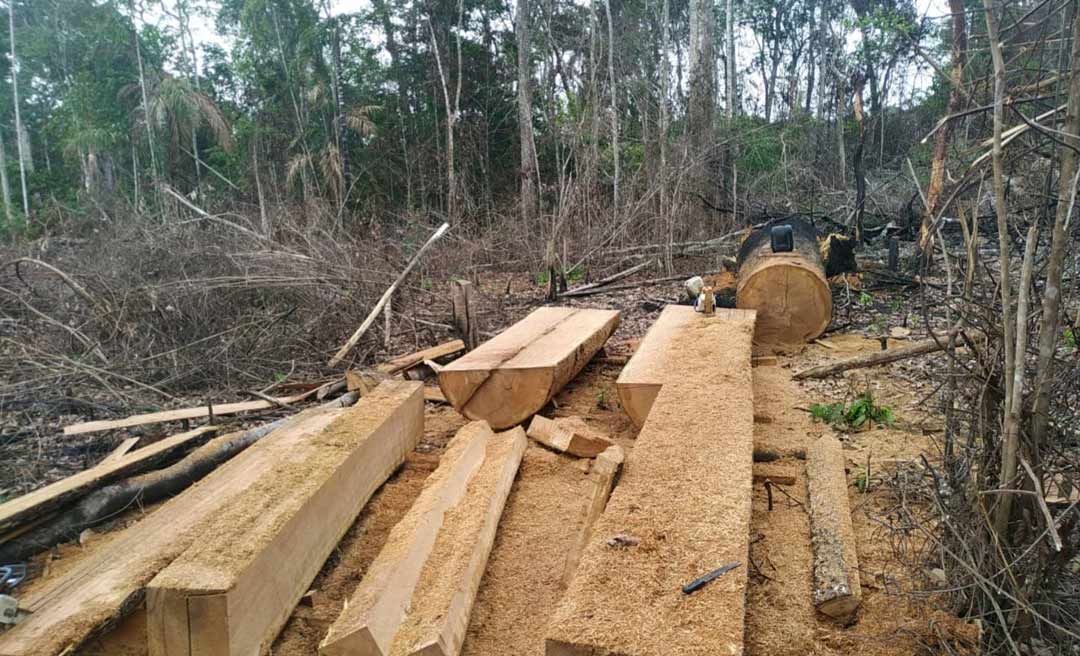 PF apreende motosseras e conduz três pessoas à delegacia por crime ambiental em Xapuri