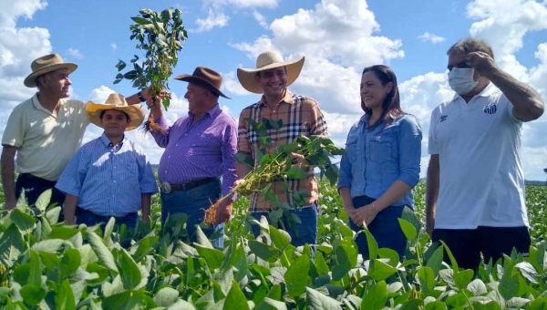 Gladson e Bocalom reafirmam parceria pela produção em visita à plantação de soja na BR-317